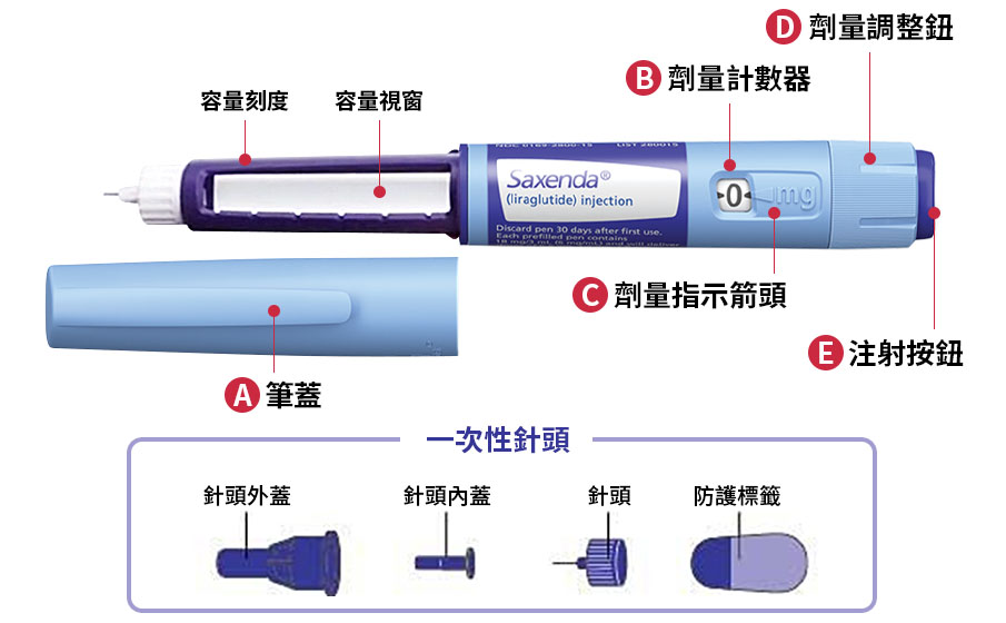 Saxenda®善纖達構造 Saxenda®善纖達構造