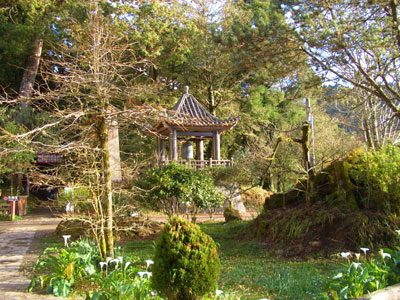 �Ѻ񪺻A�p��